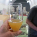 micro-brewery-first-pint